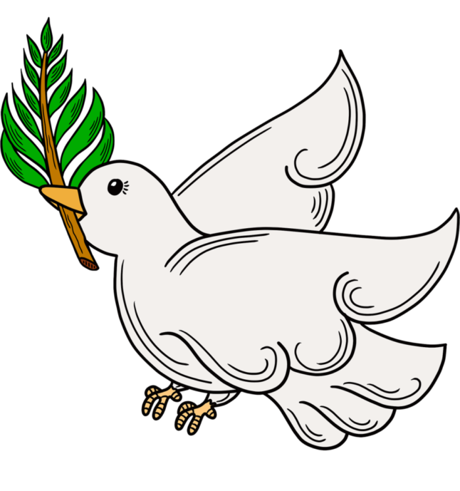 dove of peace dove pigeon holy week 7870819 dove of peace dove pigeon holy week 7870819