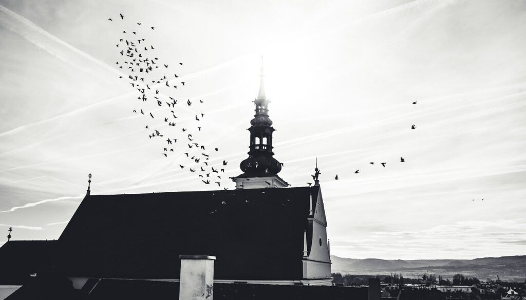 krems dom kremer dom lower austria 7619682