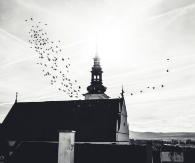 krems dom kremer dom lower austria 7619682
