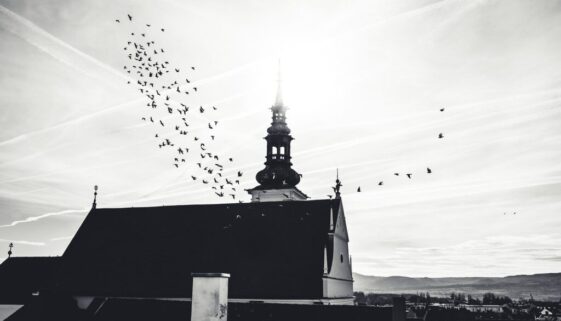 krems dom kremer dom lower austria 7619682